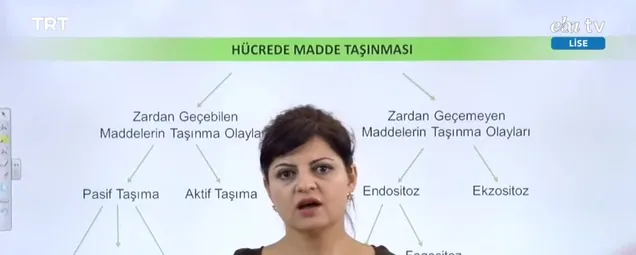 9. Sınıf - Biyoloji Dersi! Konu: Hücrede Madde Taşınması 26 Mart 2020 Perşembe