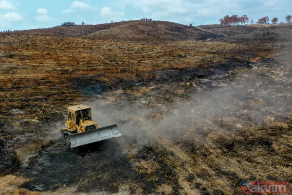 Yanan ormanlar ne olacak? Ağaçlandırma çalışması sonbaharda başlayacak - 16