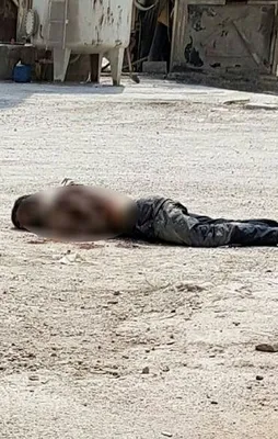 Saldırı hazırlığındaki PKK'lı hain öldürüldü