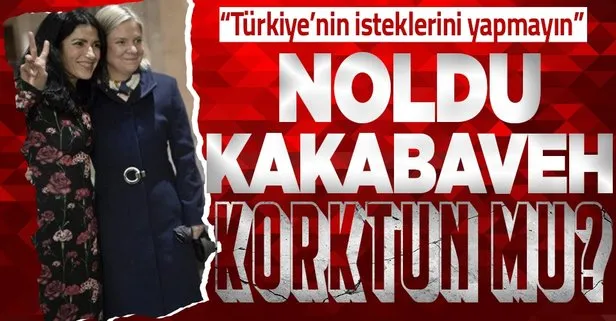 İsveç hükümetini parmağında oynatan PKK’lı Amineh Kakabaveh’in Türkiye korkusu