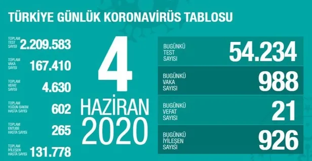 ABD Kovid-19'a yenildi! Türkiye'de valizini alan uçağa binip tatile çıktı-11