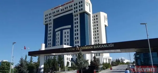 Tarım ve Orman Bakanlığı 200 PERSONEL ALIMI: Sözleşmeli personel alımı başvurusu ne zaman, nasıl, hangi branşlarda yapılacak? - 8