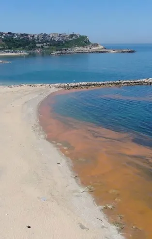 Karadeniz'deki renk değişiminin sırrı çözüldü! Su turuncuya dönmüştü
