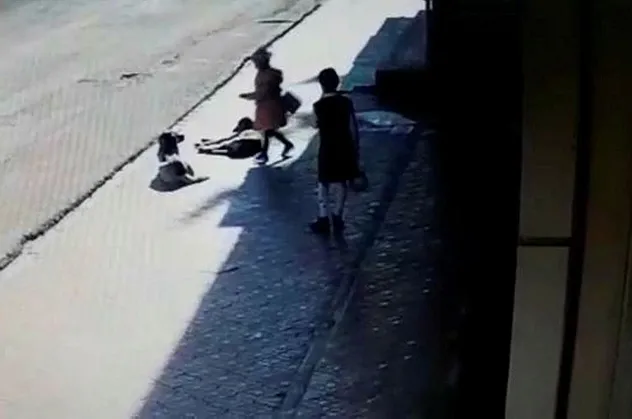 Hatay'da korkunç olay! Sokak köpeklerini severken...