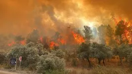 Valilikten orman yangını uyarısı