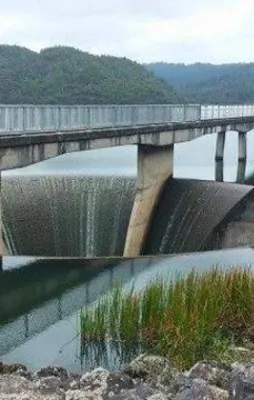 Anlamak için daha dikkatli bakmanız gerek
