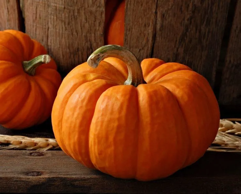 Şifa deposu bal kabağı