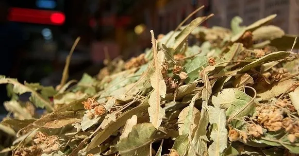 Uykusuzluk problemi yaşayanlar dikkat! Çaresi ıhlamurda