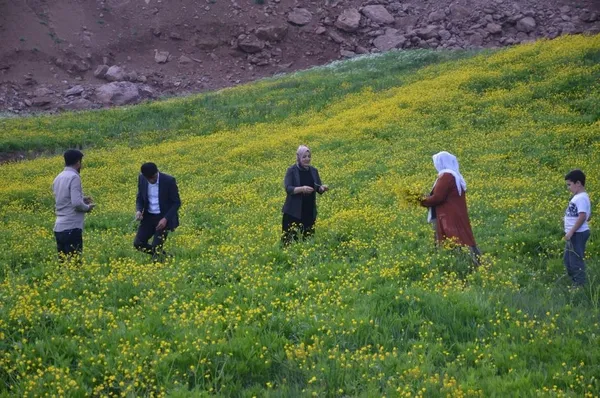 terorden-temizlenen-sirnak-beytussebap-ilcesinde-kato-daginin-cennet-gibi-arka-yuzu-35-yil-sonra-ilk-kez-goruntulendi-1621493081864.jpg Terörden temizlenen Şırnak Beytüşşebap ilçesinde Kato Dağı'nın cennet gibi arka yüzü 35 yıl sonra ilk kez görüntülendi-9