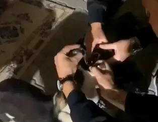 Bursa’da rezalet görüntü! Köpeğe alkollü işkence