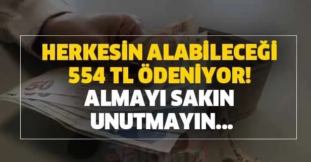 Herkesin alabileceği 554 TL ödeniyor! Almayı sakın unutmayın...