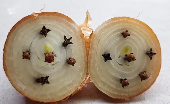 yarim-sogana-karanfil-batirin-ve-uyuyun-ne-ise-yaradigini-ogrenince-sok-olacaksiniz-1702917421180.jpeg Ne işe yaradığını öğrenince şok olacaksınız: Yarım soğana karanfil batırın ve uyuyun!-6