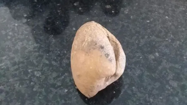 Iğdır'da bulundu! Fotoğraf çektirmek için sıraya girdiler-2