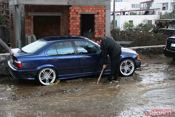 Muğla Bodrum'da hep aynı manzara! Evleri su bastı, sokak hayvanları boğuldu - 3