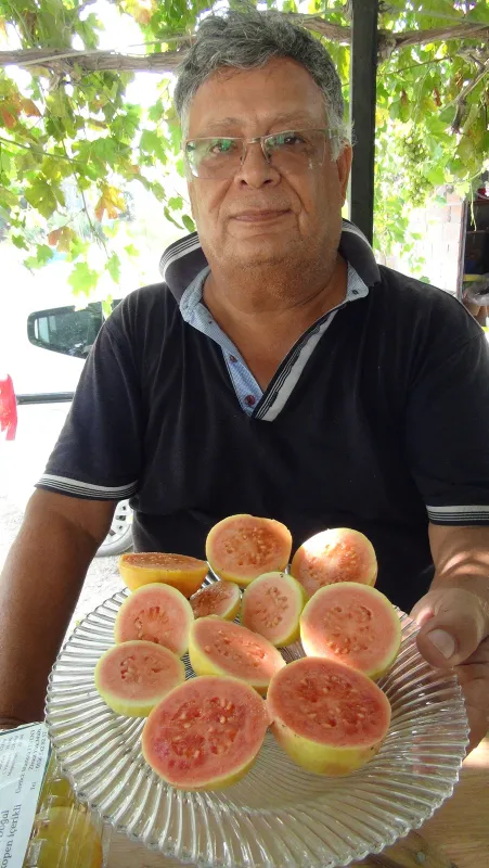 Türkiye'nin ilk guava üreticisi - 2