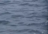 İzmir Körfezi'ni lağım bastı! Uzman isim İzmir'in kirlilikten nasıl kurtulacağını canlı yayında açıkladı