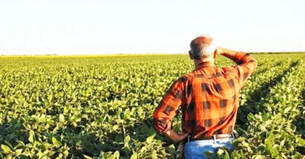 Çiftçilere sahte tohum uyarısı