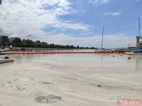 Caddebostan Sahili'nde müsilaj yoğunluğu arttı! Tabloya benzer görüntüler oluştu - 25
