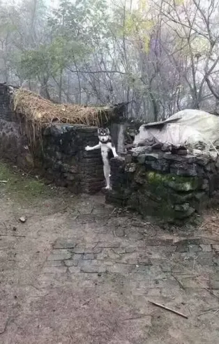 Günün en çok paylaşılan kareleri - 10 Temmuz