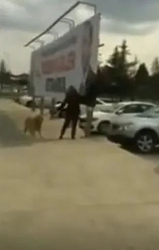 Hazımsızlığın böylesi! CHP'li kadının yaptığına inanamayacaksınız