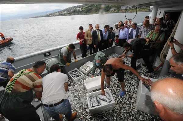 bakanlik-duyurdu-su-urunleri-sezonu-acilisini-baskan-erdogan-yapacak-1598873393629.jpg Bakanlık duyurdu! Su ürünleri sezonu açılışını Başkan Erdoğan yapacak-2