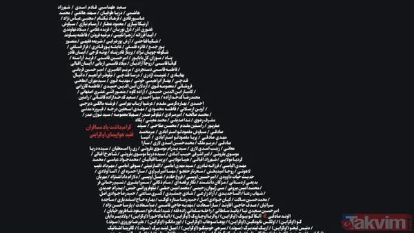 Uçak faciası İran basınına böyle yansıdı! İşte dünyayı sarsan görüntü - 1