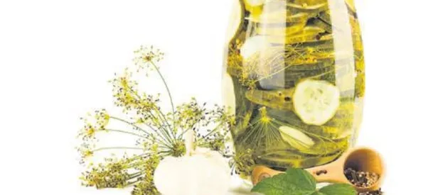 Turşunun doğalı kovuyor hastalığı