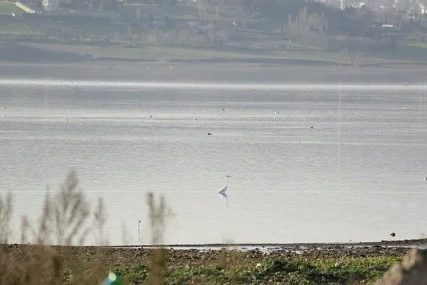 SON DAKİKA: Büyükçekmece Gölü'nde korkutan görüntü: Son 13 yılın en düşük seviyesi olan yüzde 17'ye kadar düştü-2