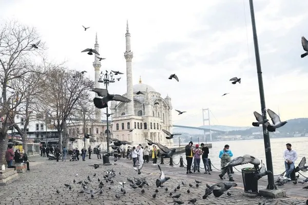 Türkiye Coronavirüs seferberliği başlattı! Doktor ve hemşirelerin salgına karşı mücadelesi takdir topladı (Koronavirüs haberleri)-5