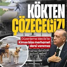 Başıboş köpek sorunu düzenlemesi Meclis’te! Başkan Erdoğan TBMM’deki grup toplantısında açıkladı: Kimse bize merhamet üzerinden ders vermeye kalkmasın