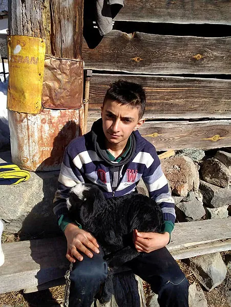 son-dakika-kirim-kongo-kanamali-atesi-geri-dondu-koronavirusle-benzer-belirtileri-var-1619855074919.jpg SON DAKİKA! Kırım Kongo Kanamalı Ateşi geri döndü! Koronavirüsle benzer belirtileri var-6