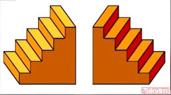 Bunu görüyorsanız çok zekisiniz! Bilim adamları açıkladı! İşte kişiliğinizi ortaya koyan o görsel... - 17