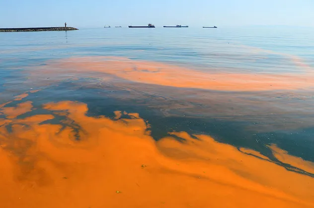 Marmara Denizi'nde şoke eden görüntü! Deniz turuncuya boyandı!