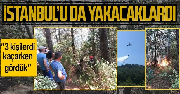 Son dakika: İstanbul Beykoz’da ormanlık alanda yangın: 3 kişi geldi, kaçarken gördük