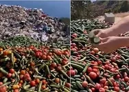 Antalya Gazipaşada tonlarca sebze boş arazide bulundu: Bu nasıl bir insanlıktır?