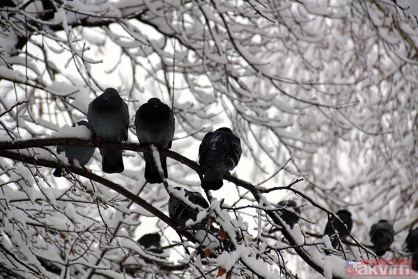 Kar ne zaman yağacak? Doğu illerinde kar yağışı: Ardahan Iğdır Karlıova beyaza büründü - 6