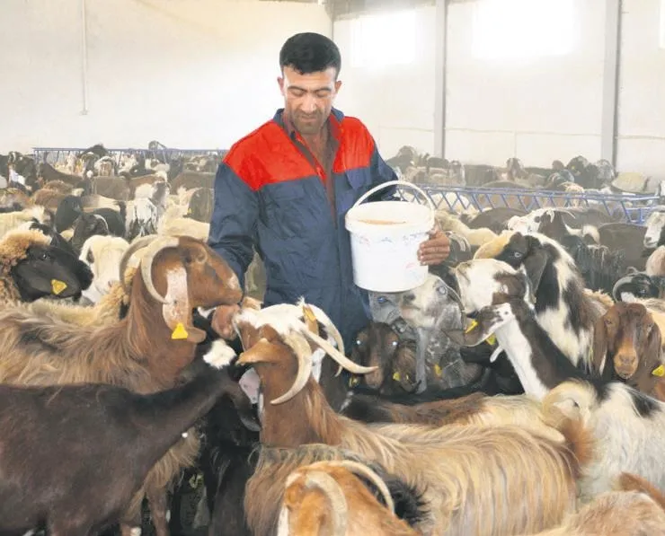 Projesiyle hibe aldı, çiftliği oldu