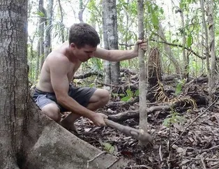 Vahşi ortamda rahatça uyumak için yaptı!