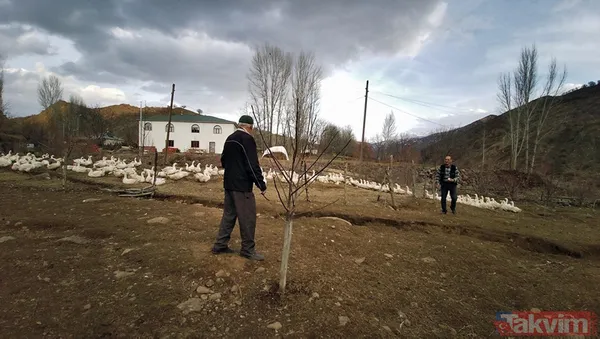 "Yapamazsın" dediler! 300 bin lirayla girdi! 15 bin yavru siparişi aldı - 9
