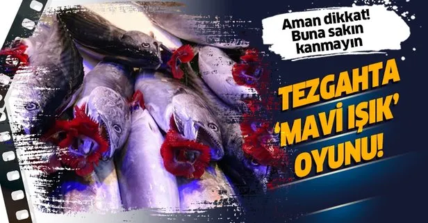 Balık alırken ışık oyununa dikkat!