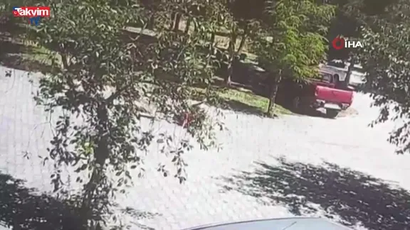 Ahlat'ta korku dolu anlar! Küçük kıza başıboş köpek saldırısı - Son anda kurtarıldı