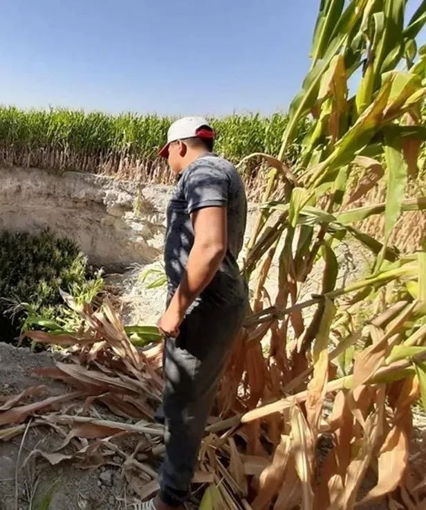 O ilimizde yaşayanları şoke eden olay! Tarlada çalışırken bir anda gördü çok büyük ve korkutucuydu!-4