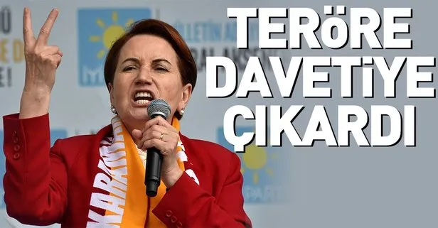 Meral Akşener’den teröre davetiye