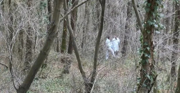 Sarıyer’de kan donduran olay: Ağaca bağlanmış erkek cesedi bulundu