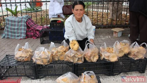 Yağmurla ortaya çıktı kilosu 500 TL’ye satışta! Köylünün altın değerindeki geçim kaynağı şifa saçıyor - 6