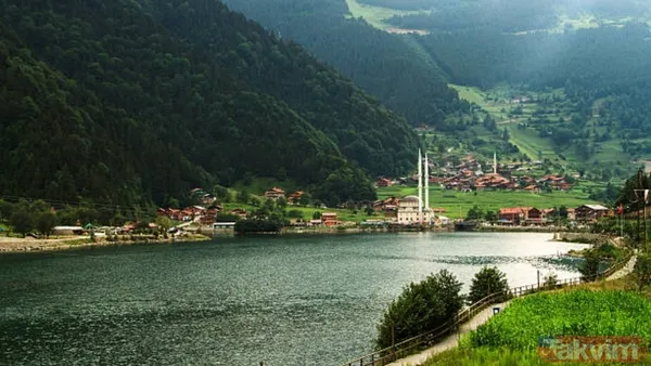 İstanbul’da yaşayanların memleket dağılım açıklandı: TÜİK verilerine göre ilk 20 il - 14