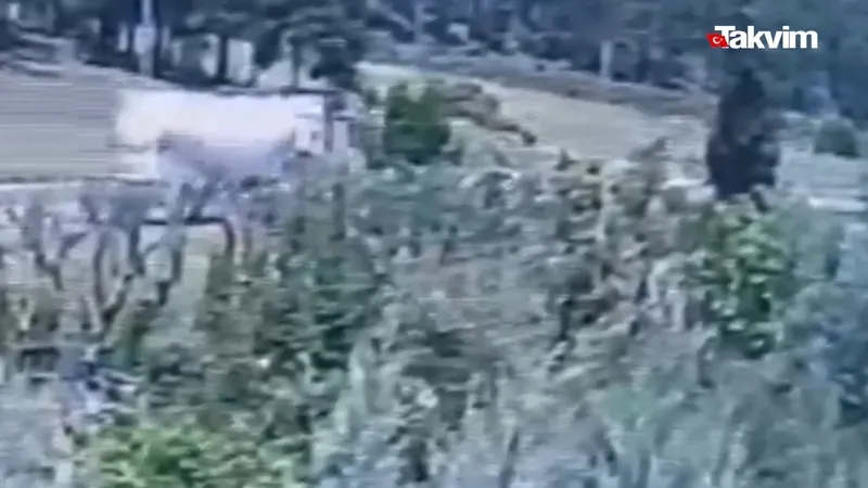 Gaziantep'teki feci kazada flaş gelişme! Tanker sürücüsü Mehmet Göğüş tutuklandı! Kazadan saniyeler öncesi kameralarda! 9 kişi yanyana toprağa verildi-3