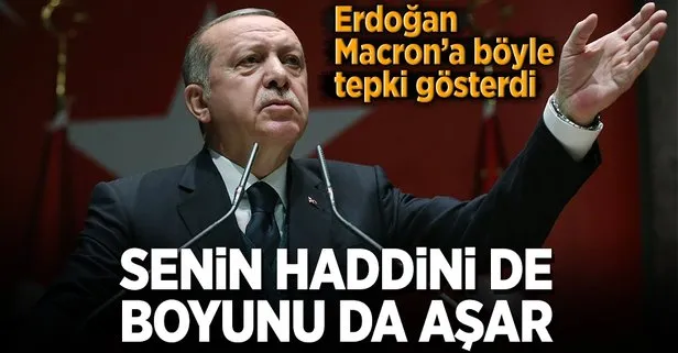 Senin haddini de boyunu da aşar!