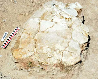 Kayseri’de bulundu! Tam 7,5 milyon yıllık!