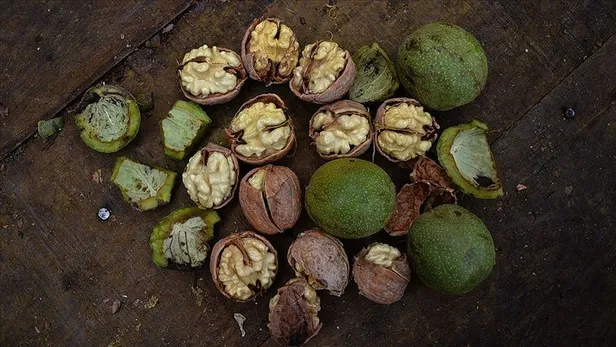 Dr. Nafiz Karagözoğlu değerlendirdi: Görümce baskısı-2